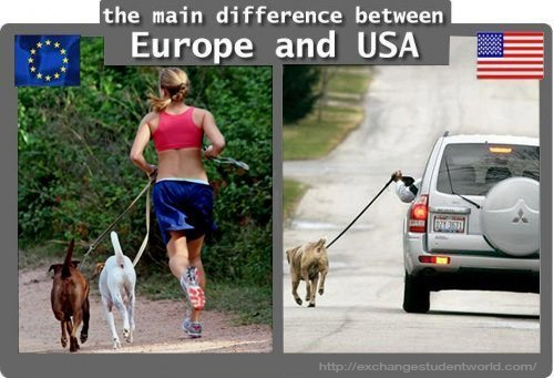 Main difference between Europe and USA | News | Exchange ...